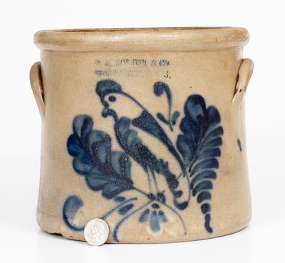 Scarce F.B. NORTON & CO / WORCESTER, MASS. Stoneware Parrot Crock, 1858-77